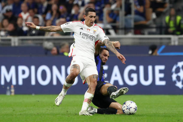 拥有一批世 拥有一批世