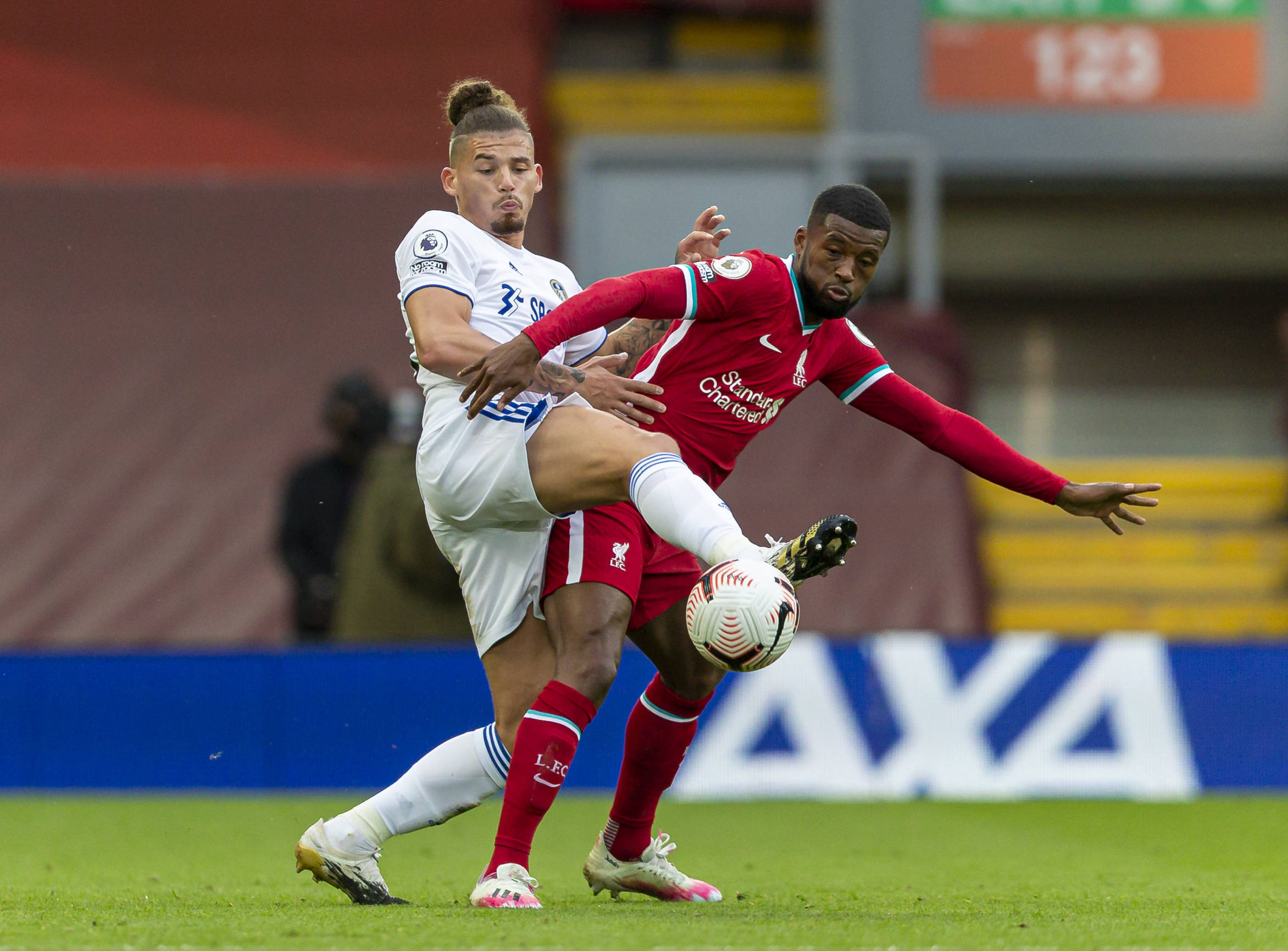 例如引进有 例如引进有